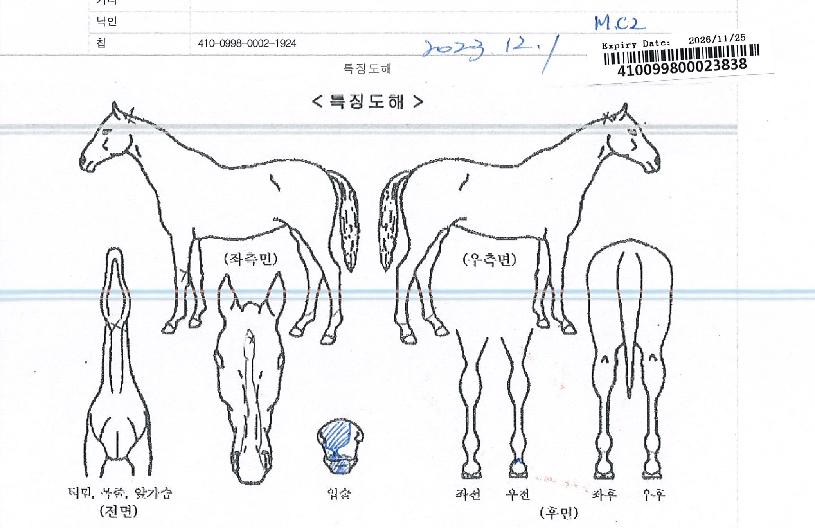 È÷¾î·ÎÅ©¶ó¿îÀÇ Ãø¸é,¿ì¸é,µÞ¸é,µÎ»ó,´Ù¸®ÀÇ Æ¯Â¡µµÇØ