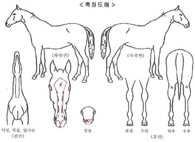 ���̺���� ����,���,�޸�,�λ�,�ٸ��� Ư¡����