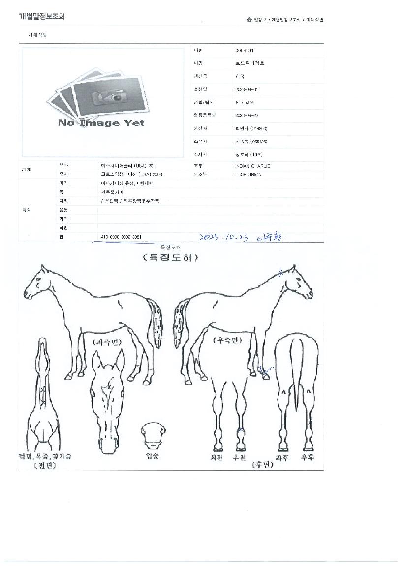 �ε�������Ʈ�� ����,���,�޸�,�λ�,�ٸ��� Ư¡����