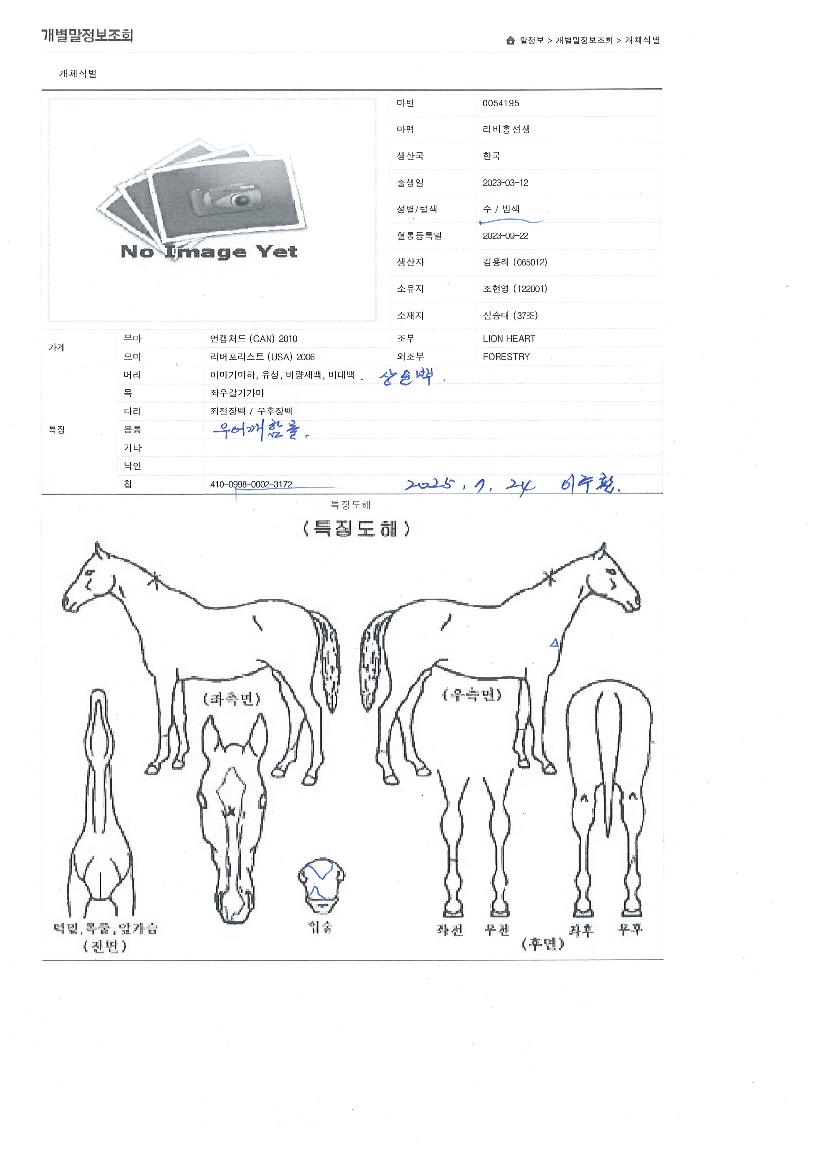 ���ø����� ����,���,�޸�,�λ�,�ٸ��� Ư¡����