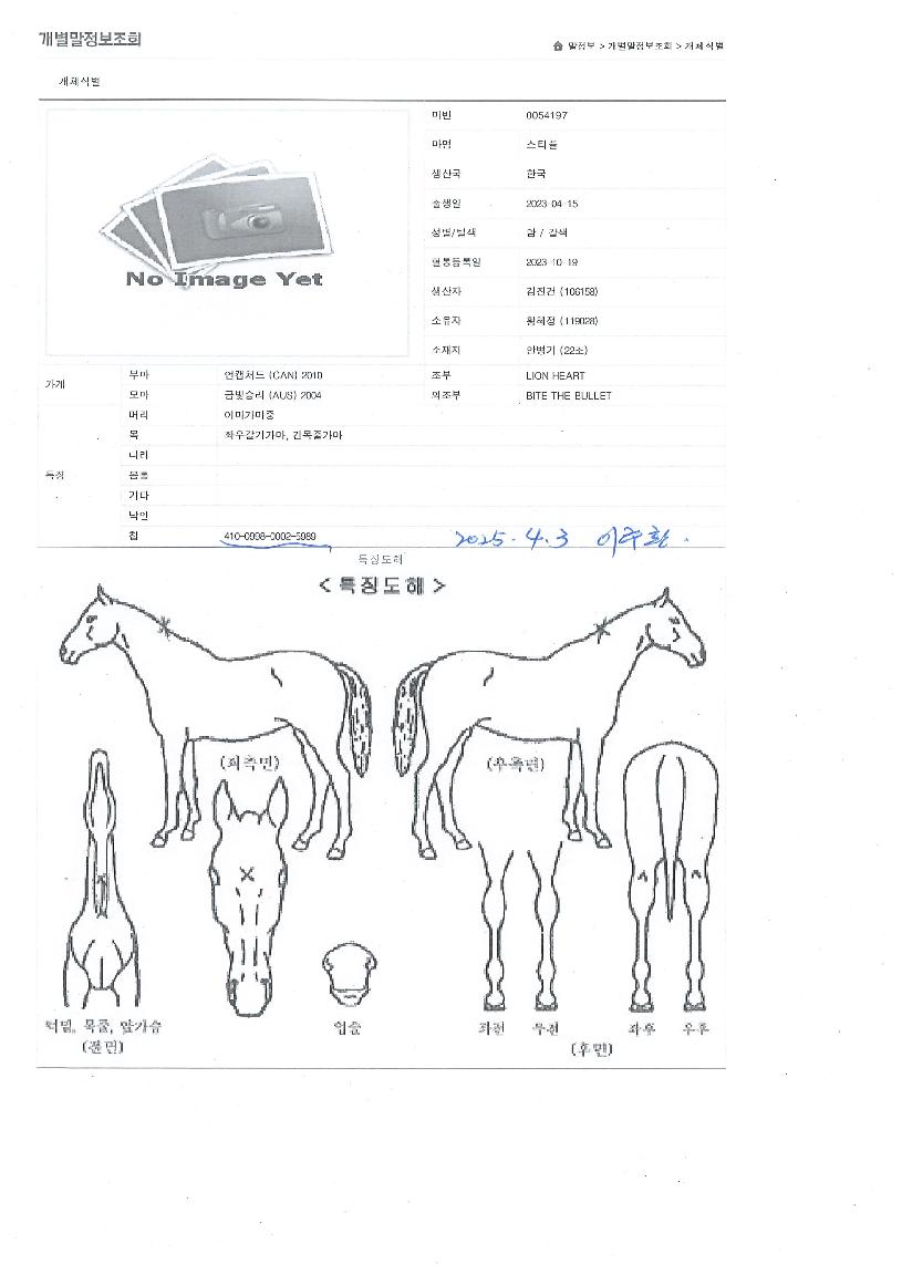 ��Ƽ���� ����,���,�޸�,�λ�,�ٸ��� Ư¡����