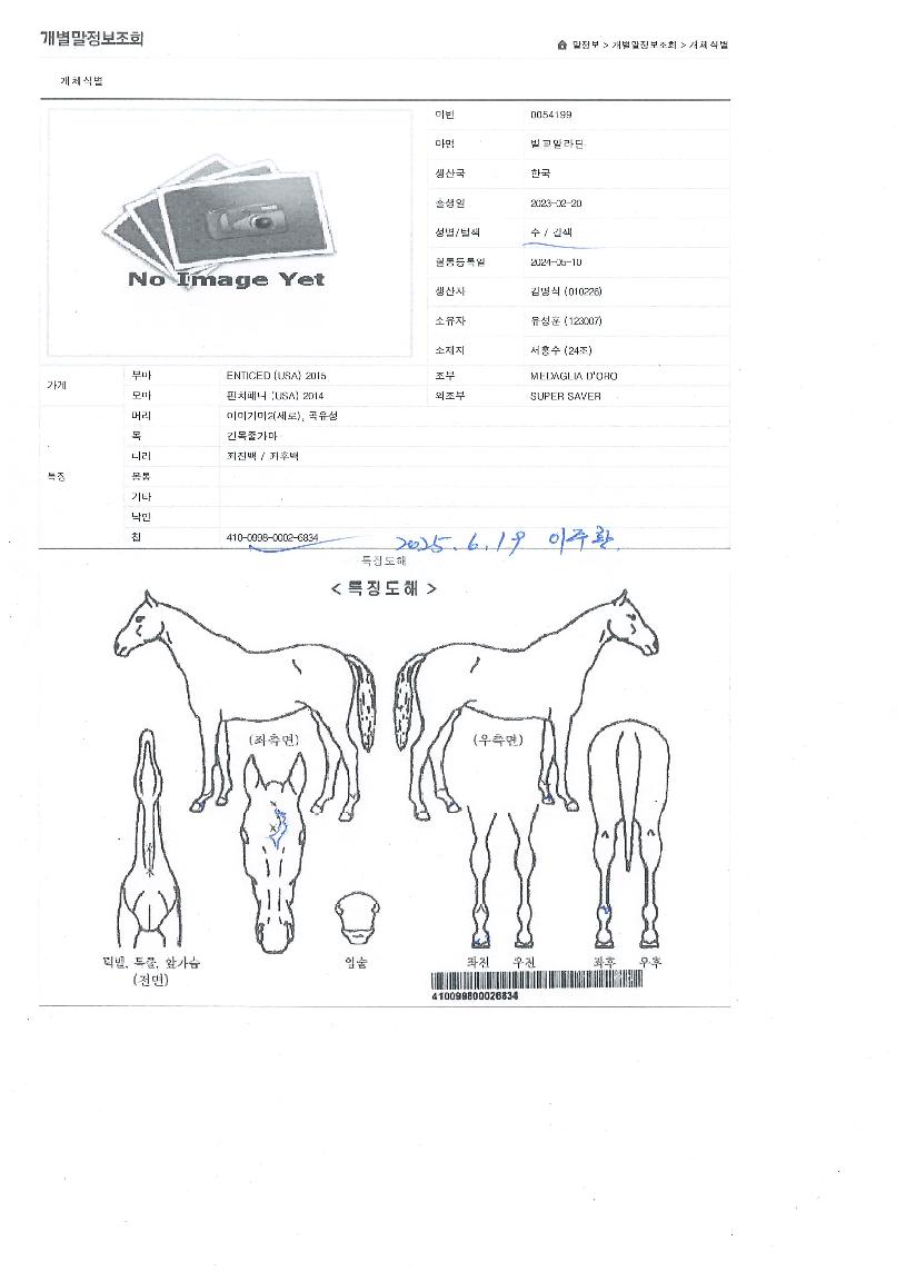 ¹ú±³¾Ë¶óµòÀÇ Ãø¸é,¿ì¸é,µÞ¸é,µÎ»ó,´Ù¸®ÀÇ Æ¯Â¡µµÇØ