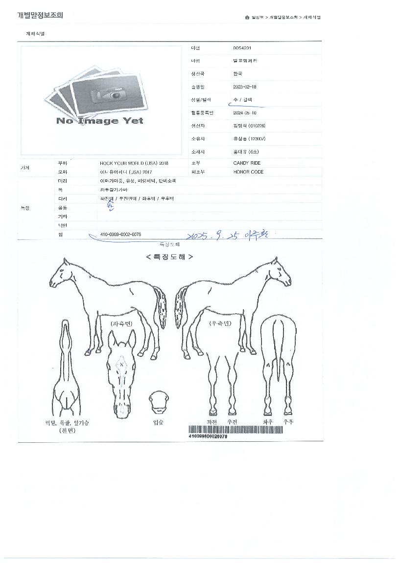 ¹ú±³¿¥ÆÛ·¯ÀÇ Ãø¸é,¿ì¸é,µÞ¸é,µÎ»ó,´Ù¸®ÀÇ Æ¯Â¡µµÇØ