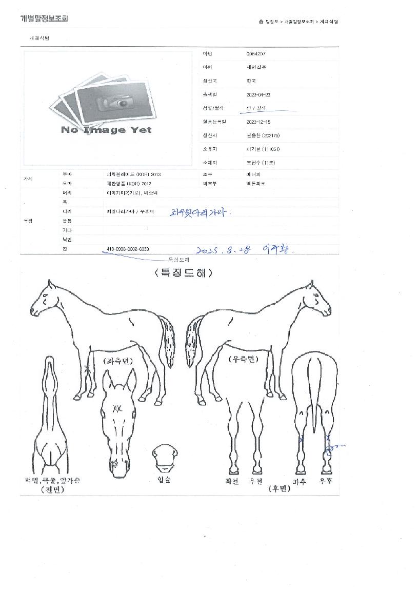 ���������� ����,���,�޸�,�λ�,�ٸ��� Ư¡����