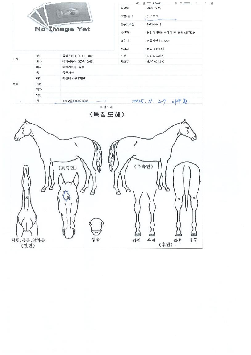 �������ĳ���� ����,���,�޸�,�λ�,�ٸ��� Ư¡����