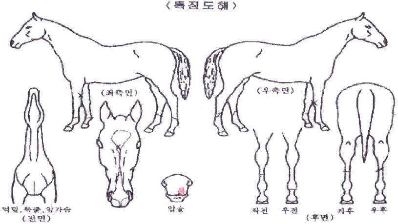 ���ƽý������� ����,���,�޸�,�λ�,�ٸ��� Ư¡����