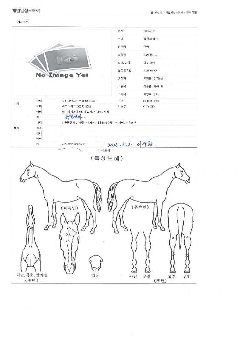 ¼º½Ç¾ÆÀÌÄÜÀÇ Ãø¸é,¿ì¸é,µÞ¸é,µÎ»ó,´Ù¸®ÀÇ Æ¯Â¡µµÇØ