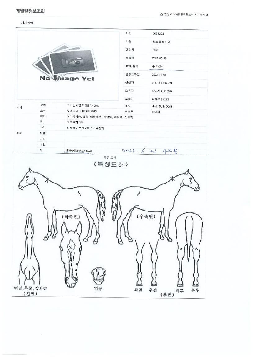 ����Ʈ�������� ����,���,�޸�,�λ�,�ٸ��� Ư¡����