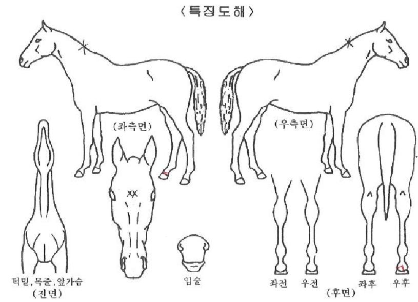 ���ϵ�Űư�ڸ��� ����,���,�޸�,�λ�,�ٸ��� Ư¡����