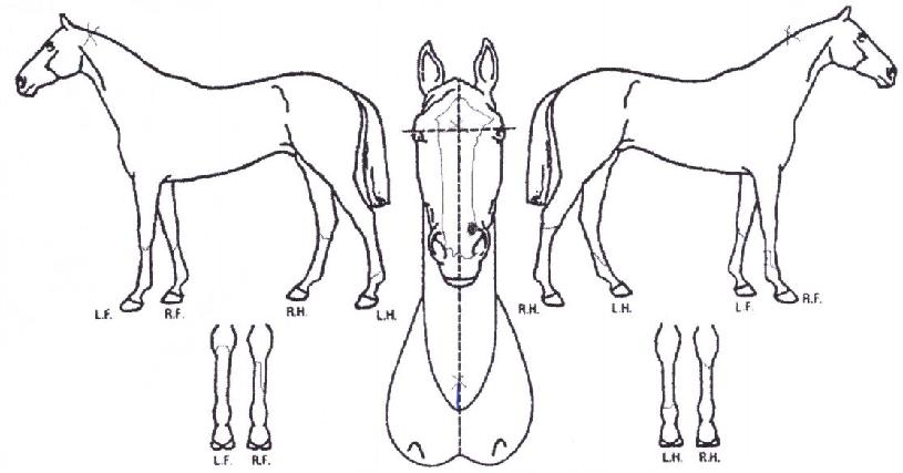 ���̽������� ����,���,�޸�,�λ�,�ٸ��� Ư¡����