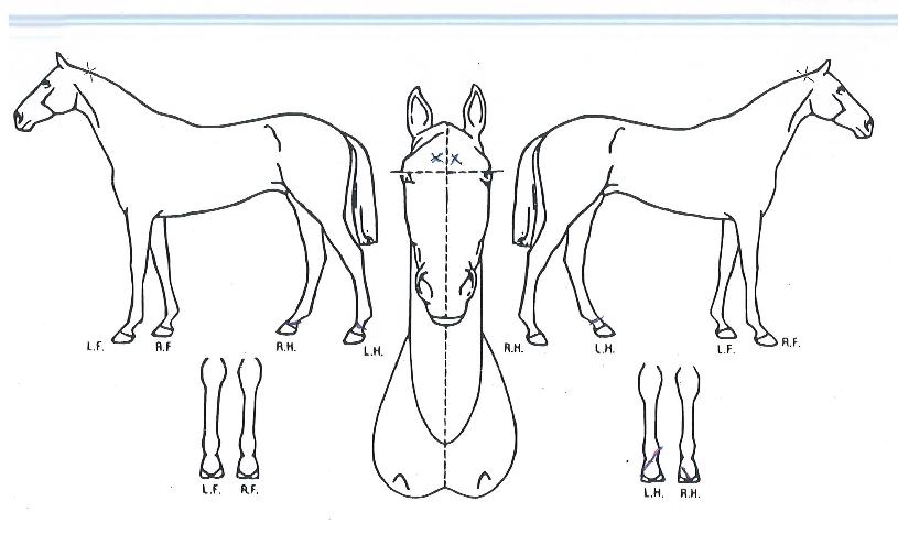 ���̽������ ����,���,�޸�,�λ�,�ٸ��� Ư¡����