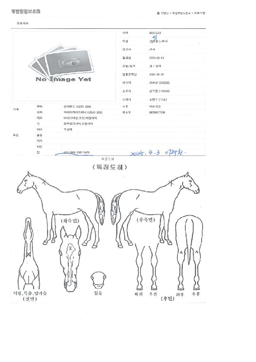 Àε𿣵åÀ§³ÊÀÇ Ãø¸é,¿ì¸é,µÞ¸é,µÎ»ó,´Ù¸®ÀÇ Æ¯Â¡µµÇØ