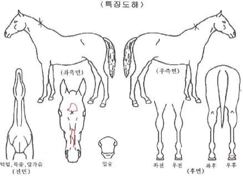 �¾��ǿ����� ����,���,�޸�,�λ�,�ٸ��� Ư¡����