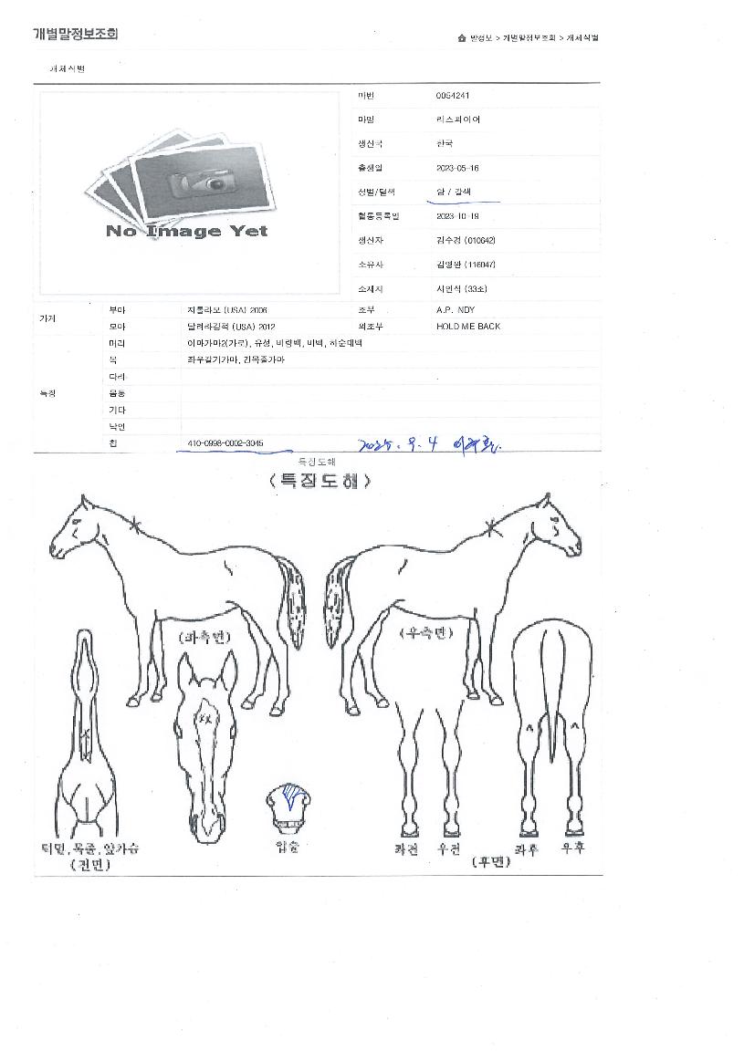 �������̾��� ����,���,�޸�,�λ�,�ٸ��� Ư¡����