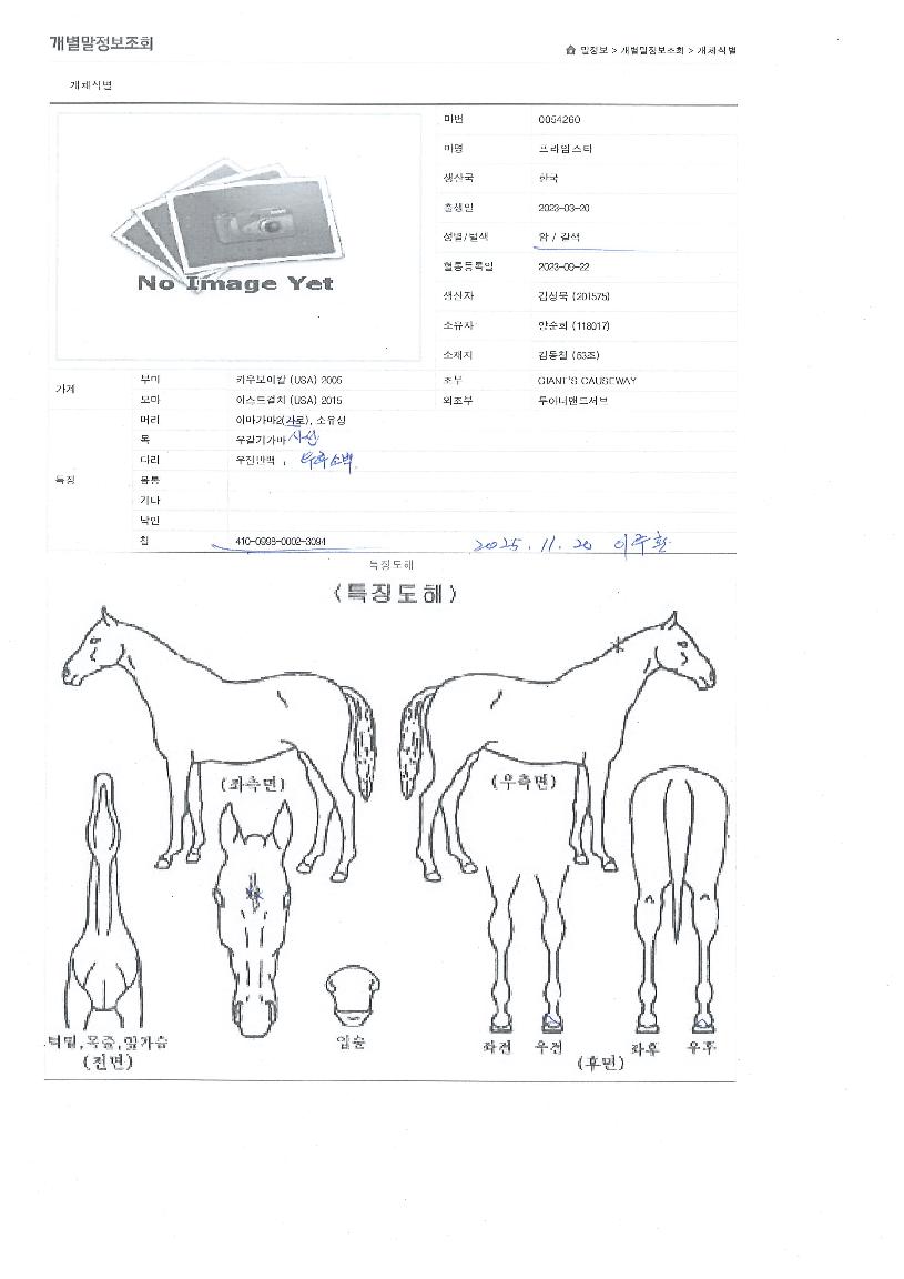 ÇÁ¶óÀÓ½ºÅ¸ÀÇ Ãø¸é,¿ì¸é,µÞ¸é,µÎ»ó,´Ù¸®ÀÇ Æ¯Â¡µµÇØ