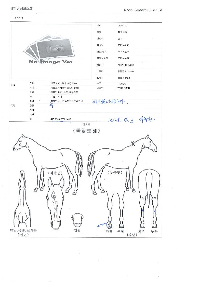 ºí·¢Å·´ýÀÇ Ãø¸é,¿ì¸é,µÞ¸é,µÎ»ó,´Ù¸®ÀÇ Æ¯Â¡µµÇØ