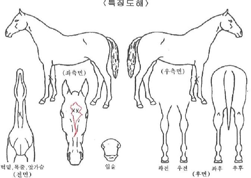 ���÷��Ž��� ����,���,�޸�,�λ�,�ٸ��� Ư¡����