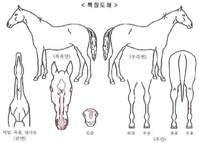 Ž������ ����,���,�޸�,�λ�,�ٸ��� Ư¡����