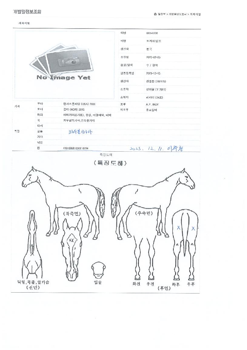 Ʈ���̴�Ʈ�� ����,���,�޸�,�λ�,�ٸ��� Ư¡����