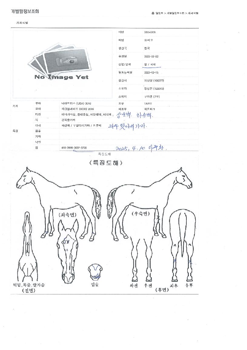 ¿ëºñ±³ÀÇ Ãø¸é,¿ì¸é,µÞ¸é,µÎ»ó,´Ù¸®ÀÇ Æ¯Â¡µµÇØ