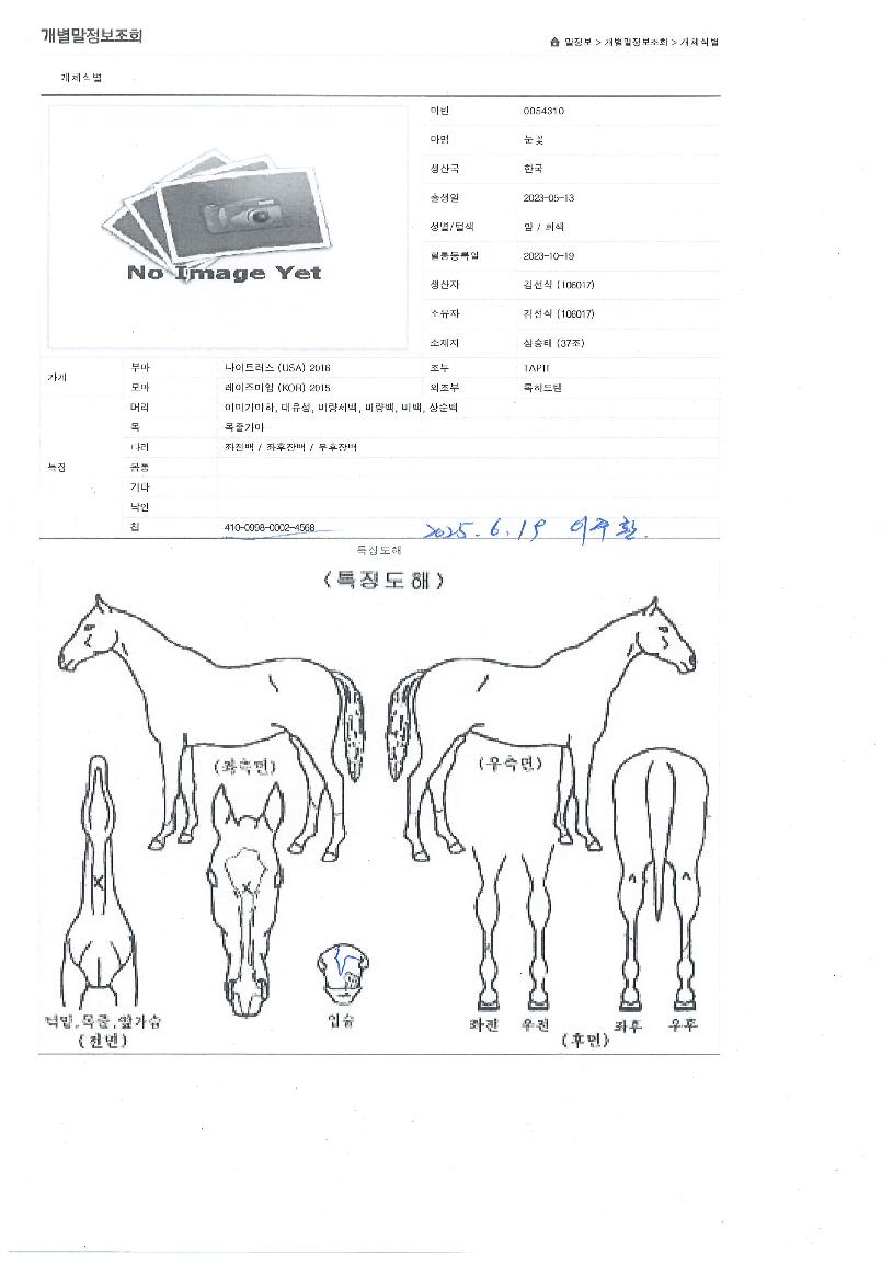 ´«²ÉÀÇ Ãø¸é,¿ì¸é,µÞ¸é,µÎ»ó,´Ù¸®ÀÇ Æ¯Â¡µµÇØ