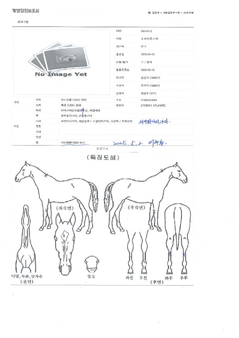 È£¶óÀÌÁð½ºÅ¸ÀÇ Ãø¸é,¿ì¸é,µÞ¸é,µÎ»ó,´Ù¸®ÀÇ Æ¯Â¡µµÇØ