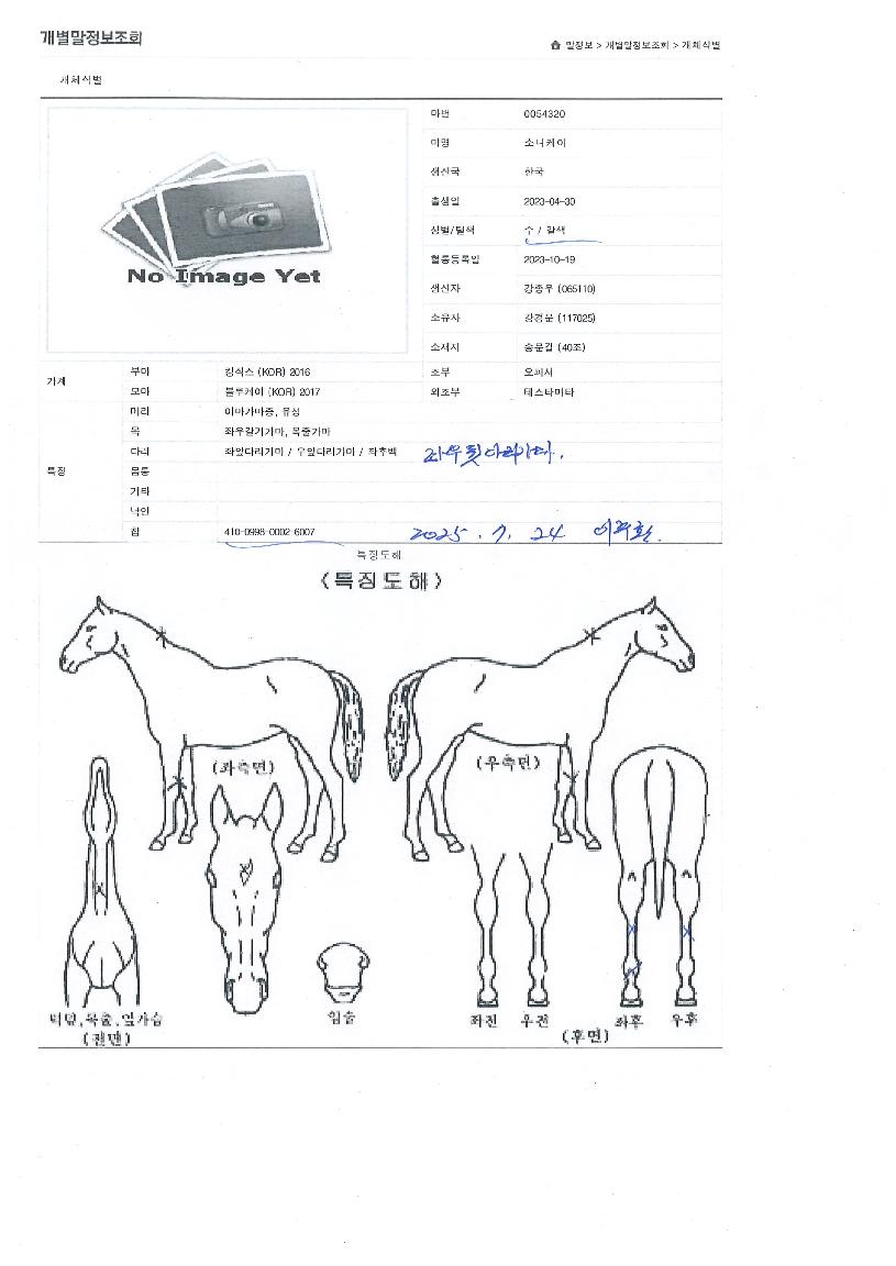 �Ҵ������� ����,���,�޸�,�λ�,�ٸ��� Ư¡����