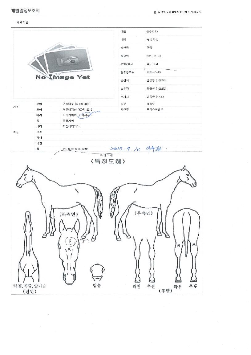 Ư±Þ±â»óÀÇ Ãø¸é,¿ì¸é,µÞ¸é,µÎ»ó,´Ù¸®ÀÇ Æ¯Â¡µµÇØ