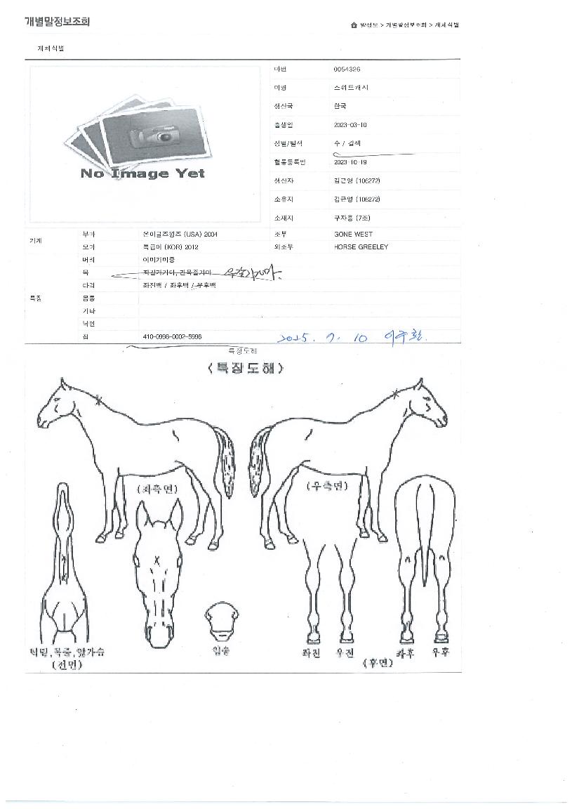 ����Ʈĳ���� ����,���,�޸�,�λ�,�ٸ��� Ư¡����