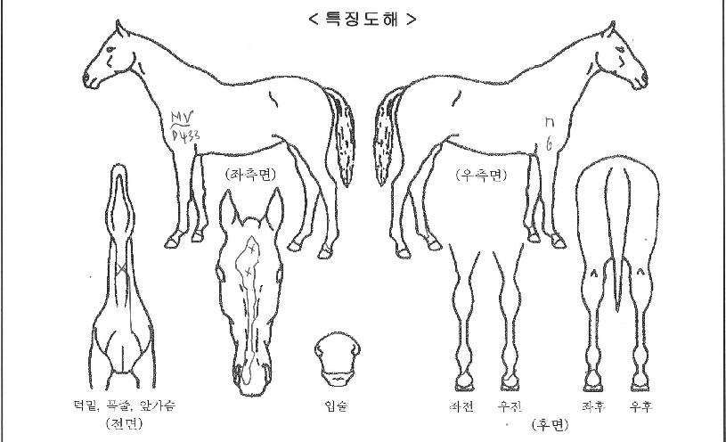 ����ġ�н��� ����,���,�޸�,�λ�,�ٸ��� Ư¡����