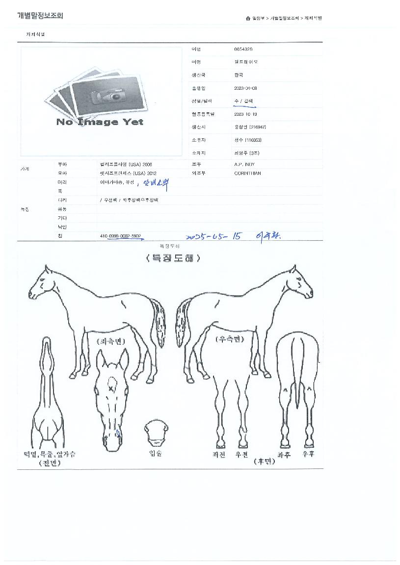 �������̿��� ����,���,�޸�,�λ�,�ٸ��� Ư¡����