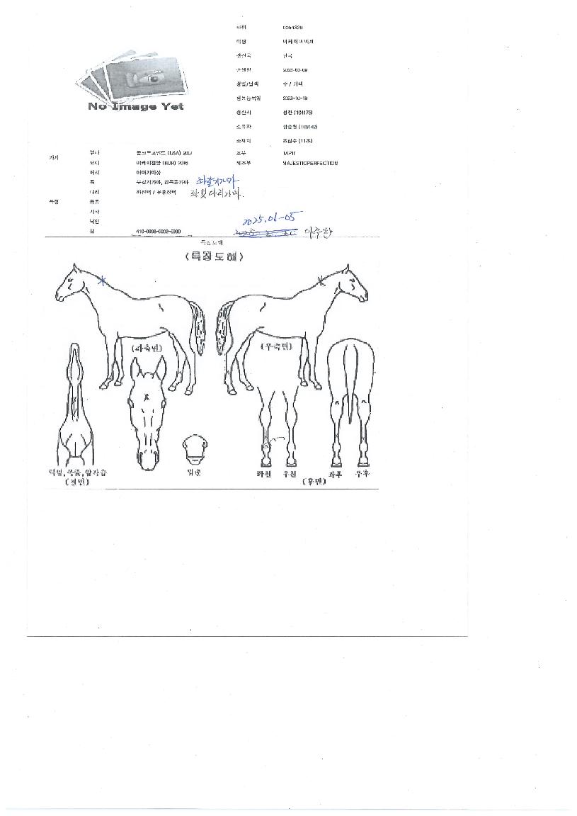 �����̺��ü�� ����,���,�޸�,�λ�,�ٸ��� Ư¡����