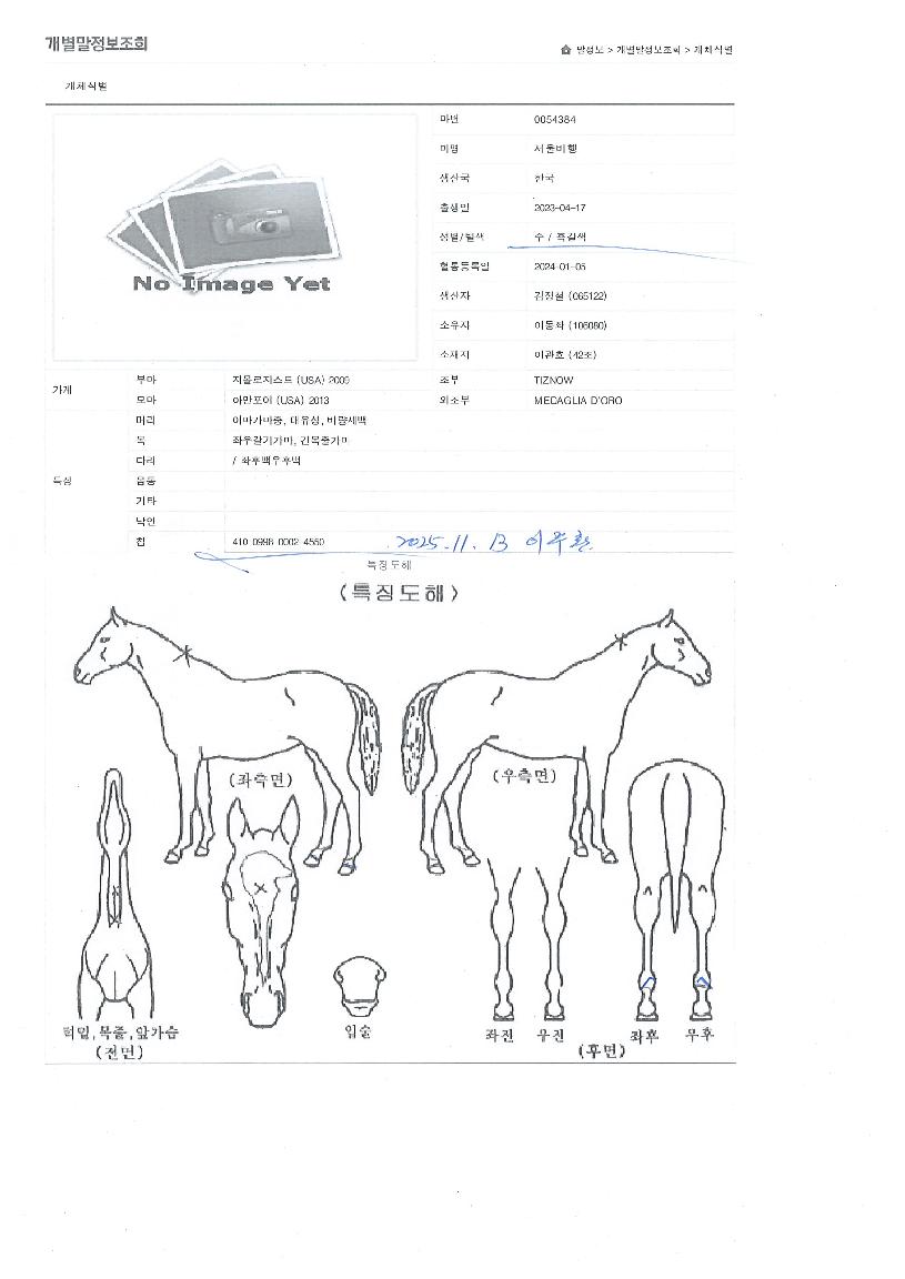 ¼¿ïºñÇàÀÇ Ãø¸é,¿ì¸é,µÞ¸é,µÎ»ó,´Ù¸®ÀÇ Æ¯Â¡µµÇØ