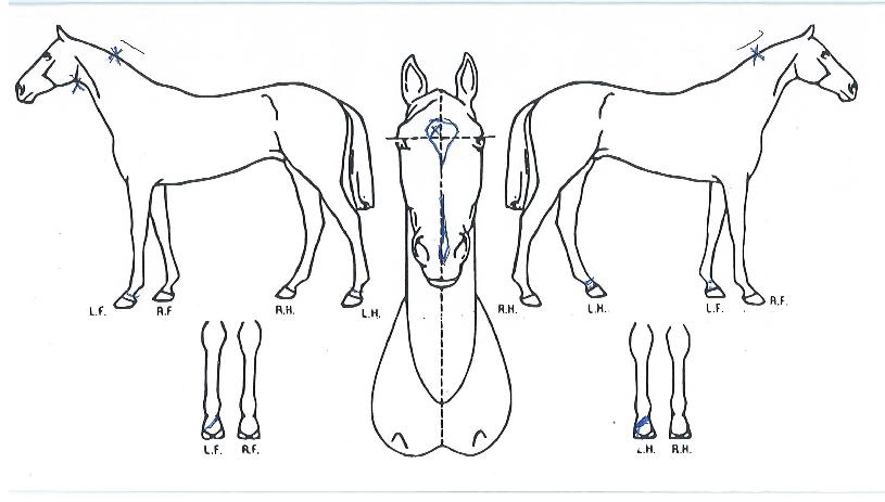 ���̽�ǻ���� ����,���,�޸�,�λ�,�ٸ��� Ư¡����