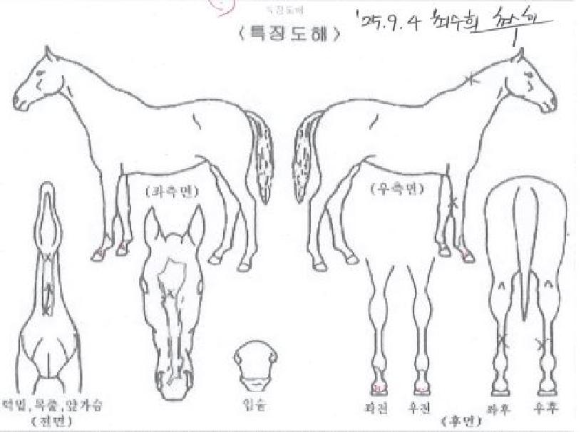 ũ�������� ����,���,�޸�,�λ�,�ٸ��� Ư¡����