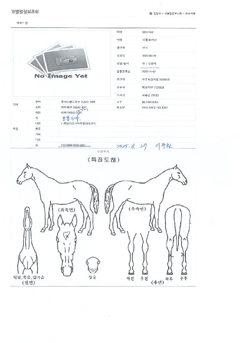 �����ڸ����� ����,���,�޸�,�λ�,�ٸ��� Ư¡����