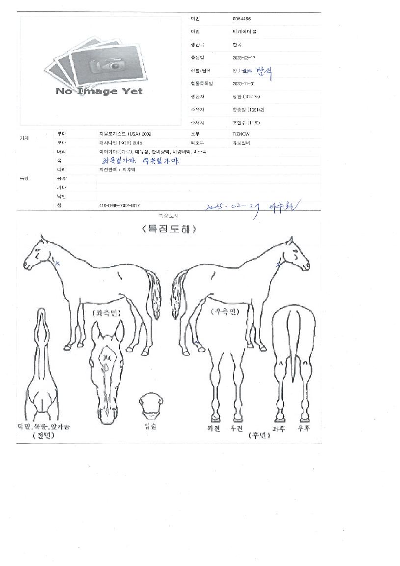 ºñÄÉÀ̵¥ºíÀÇ Ãø¸é,¿ì¸é,µÞ¸é,µÎ»ó,´Ù¸®ÀÇ Æ¯Â¡µµÇØ