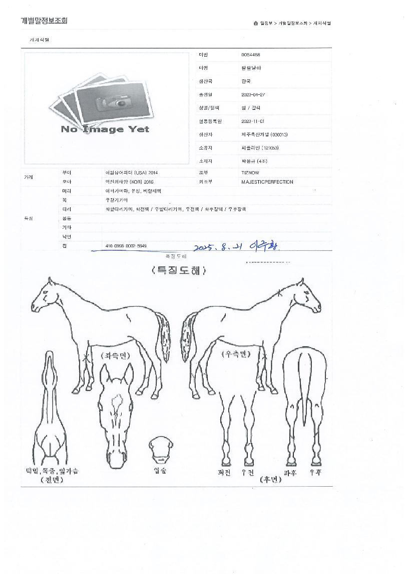 ÆÈÆÈ³¯¾ÆÀÇ Ãø¸é,¿ì¸é,µÞ¸é,µÎ»ó,´Ù¸®ÀÇ Æ¯Â¡µµÇØ