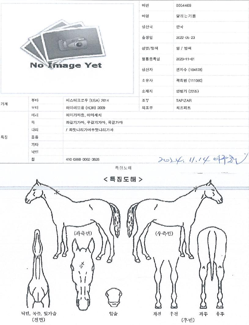 �޸��±���� ����,���,�޸�,�λ�,�ٸ��� Ư¡����