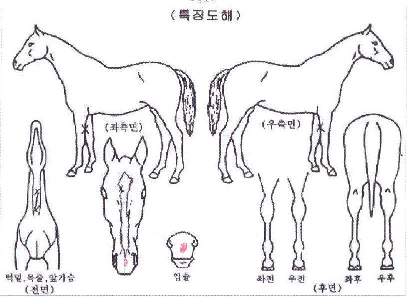 �������� ����,���,�޸�,�λ�,�ٸ��� Ư¡����