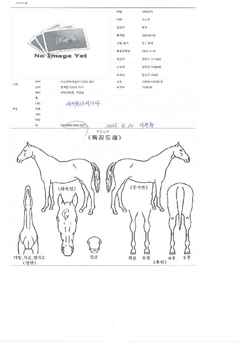 ¹Ì½ºÄýÀÇ Ãø¸é,¿ì¸é,µÞ¸é,µÎ»ó,´Ù¸®ÀÇ Æ¯Â¡µµÇØ