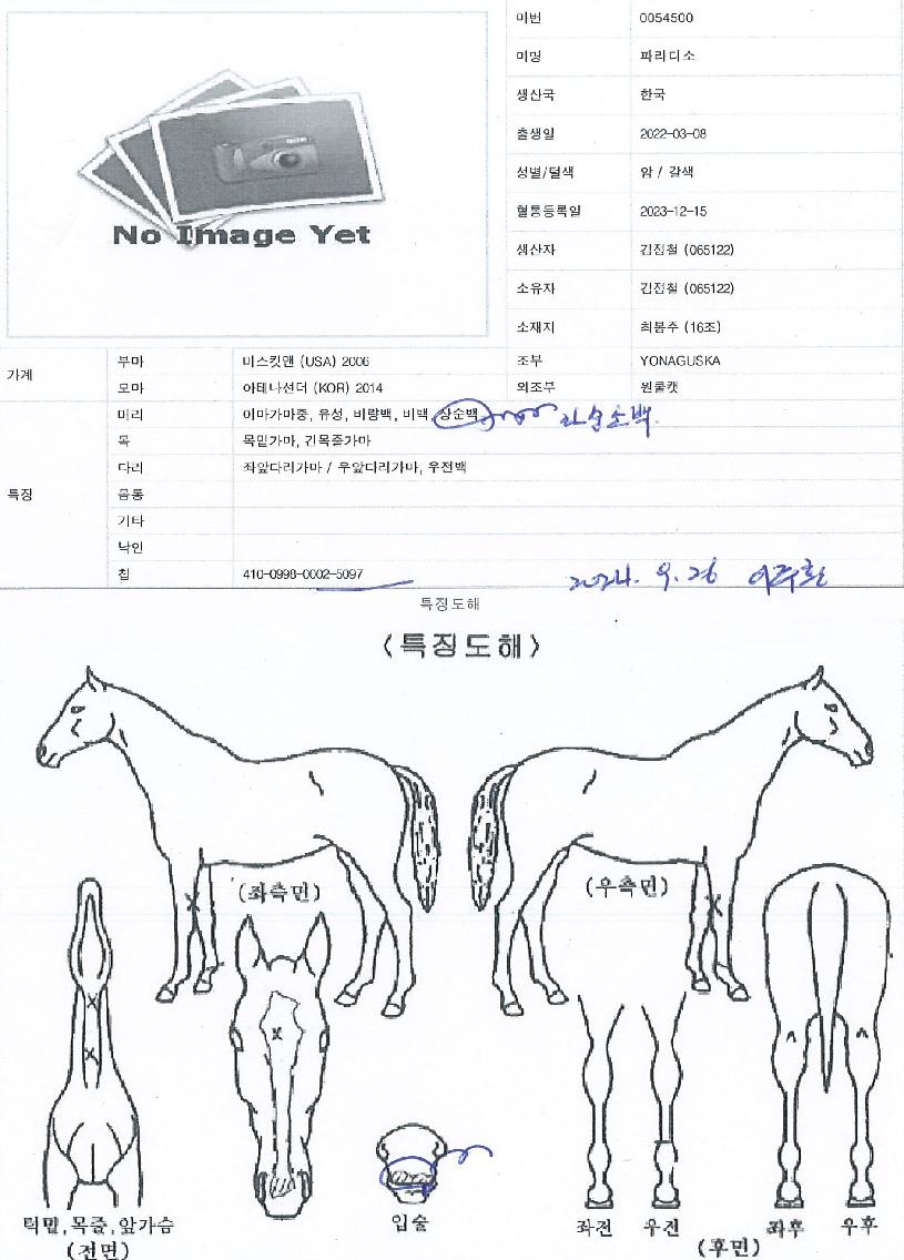 �Ķ����� ����,���,�޸�,�λ�,�ٸ��� Ư¡����