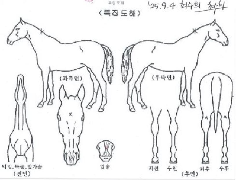 ����Ʈ������ ����,���,�޸�,�λ�,�ٸ��� Ư¡����