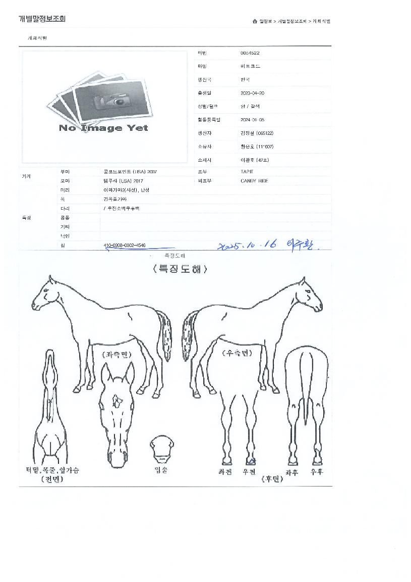 ºñÆ®ÄÚµåÀÇ Ãø¸é,¿ì¸é,µÞ¸é,µÎ»ó,´Ù¸®ÀÇ Æ¯Â¡µµÇØ