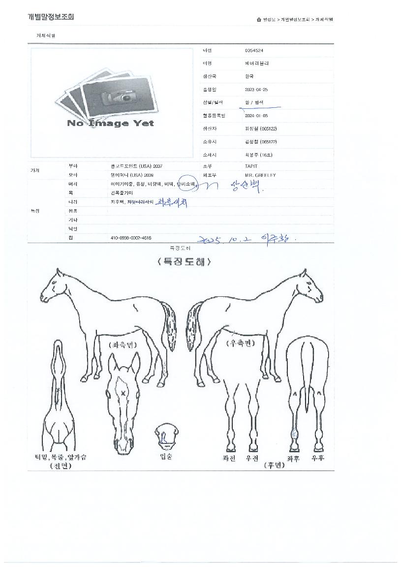 ������������ ����,���,�޸�,�λ�,�ٸ��� Ư¡����