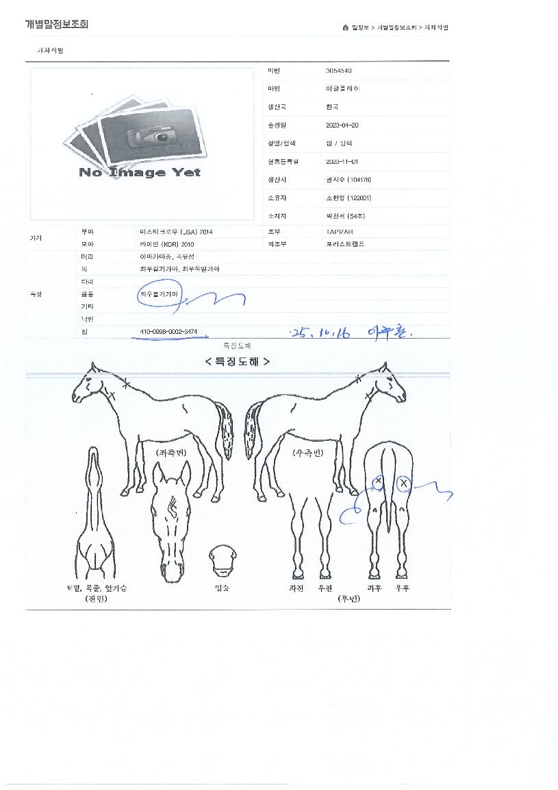 �̱��÷����� ����,���,�޸�,�λ�,�ٸ��� Ư¡����