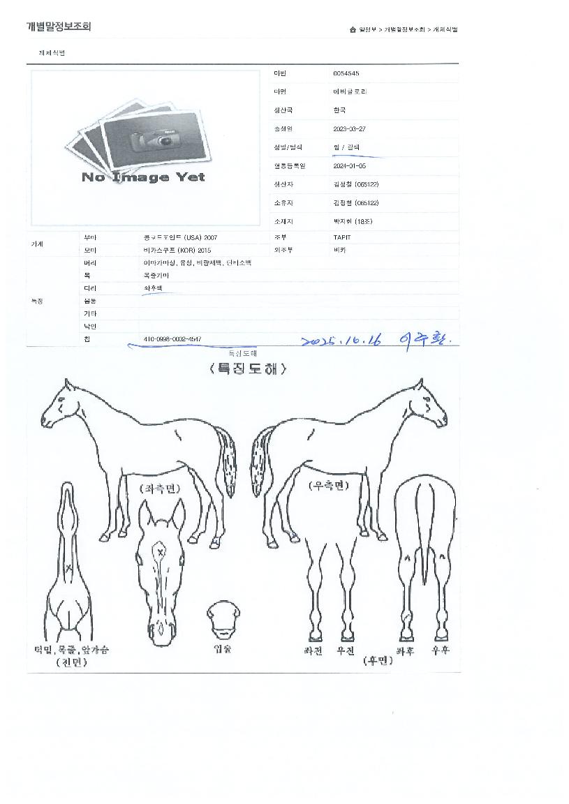 ¿¡¹ö±Û·Î¸®ÀÇ Ãø¸é,¿ì¸é,µÞ¸é,µÎ»ó,´Ù¸®ÀÇ Æ¯Â¡µµÇØ