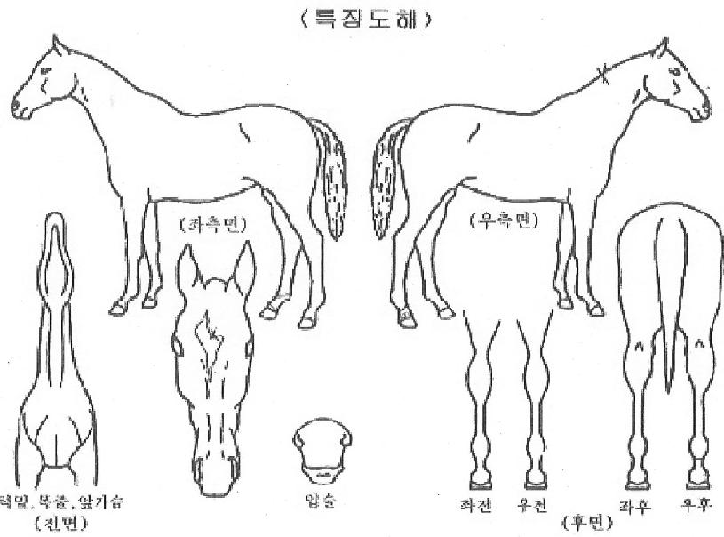 ����Ÿ���� ����,���,�޸�,�λ�,�ٸ��� Ư¡����