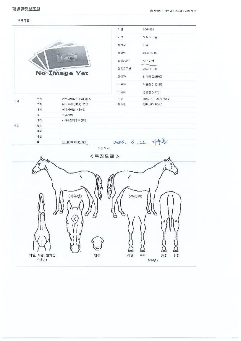 ���ƽý�Į�� ����,���,�޸�,�λ�,�ٸ��� Ư¡����