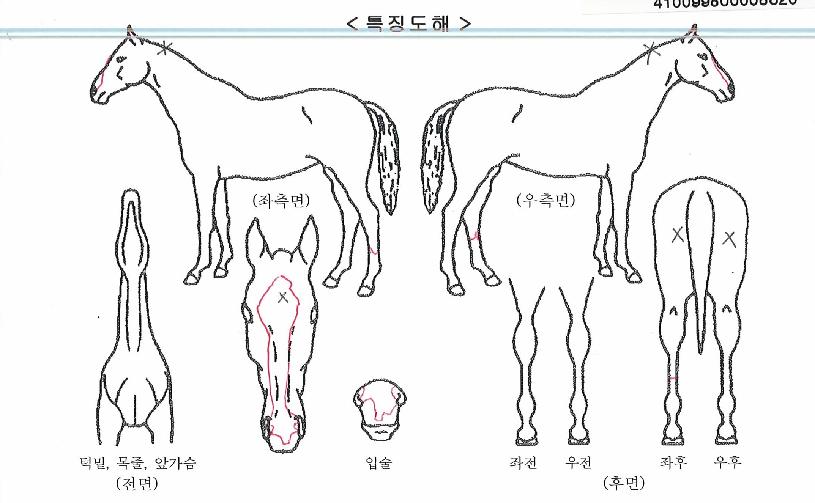 Ŭ�������ǵ��ڸ��� ����,���,�޸�,�λ�,�ٸ��� Ư¡����